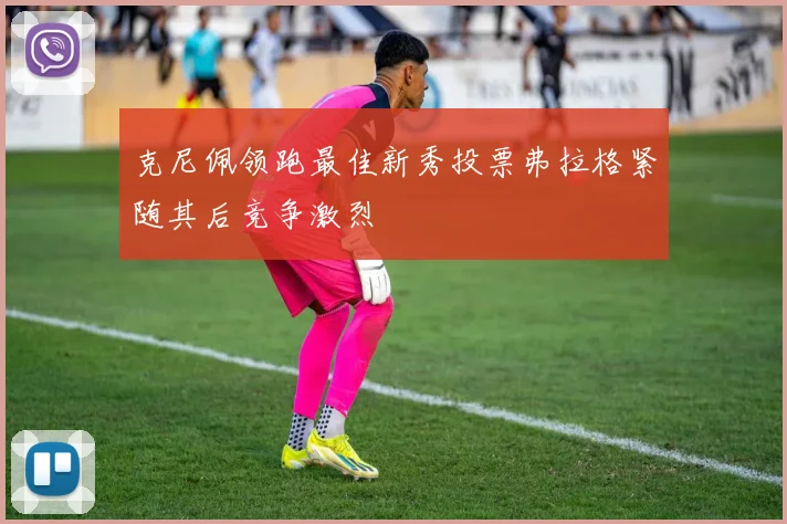 克尼佩领跑最佳新秀投票弗拉格紧随其后竞争激烈