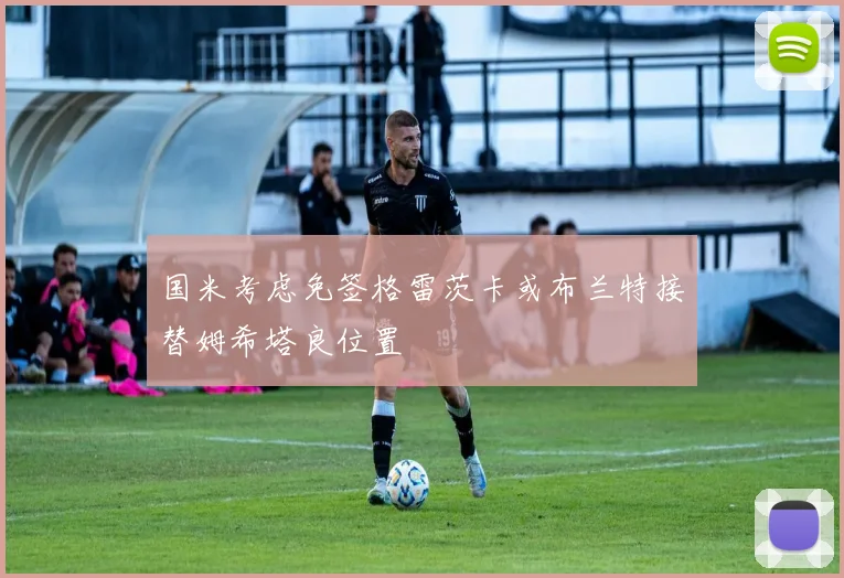 国米考虑免签格雷茨卡或布兰特接替姆希塔良位置